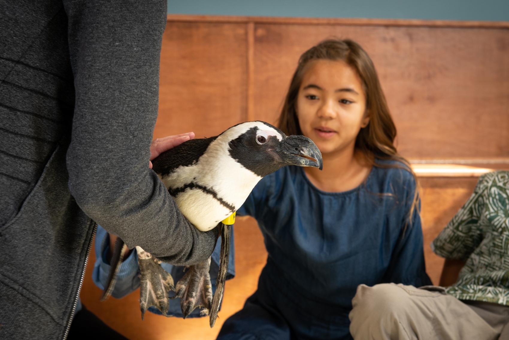 VIP Zoo Tour Columbus Zoo and Aquarium